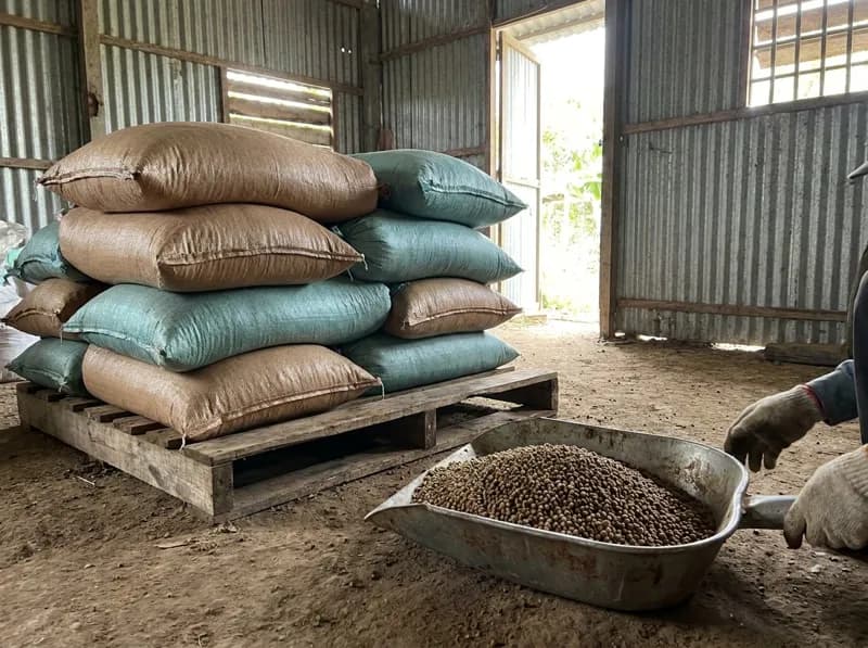 Thức ăn cá tra 28% đạm viên 6 mm – bao 25 kg