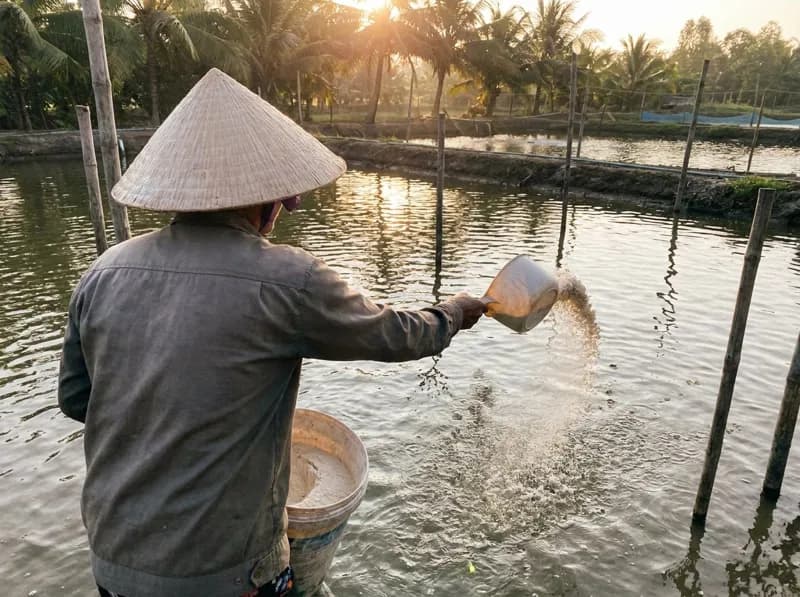 Zeolite hạt xử lý khí độc đáy ao – bao 25 kg